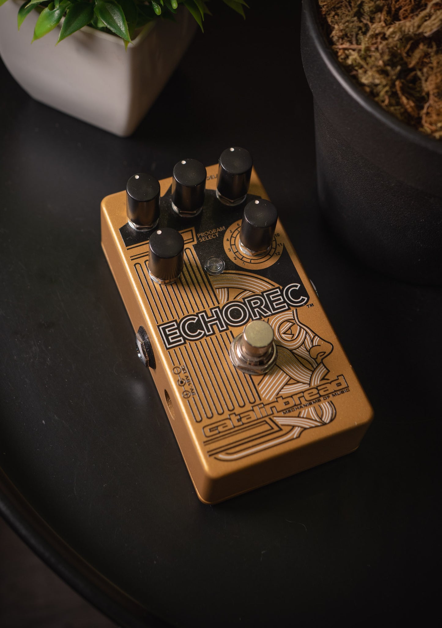 Pedal Catalinbread Echorec usado