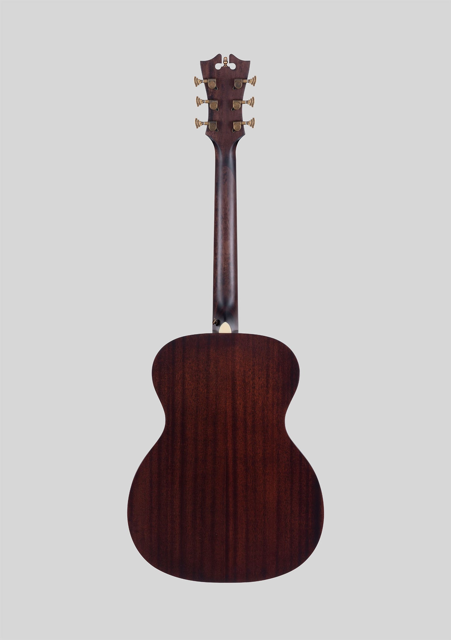 D'Angelico Premier Tammany Natural - Guitarra electroacústica