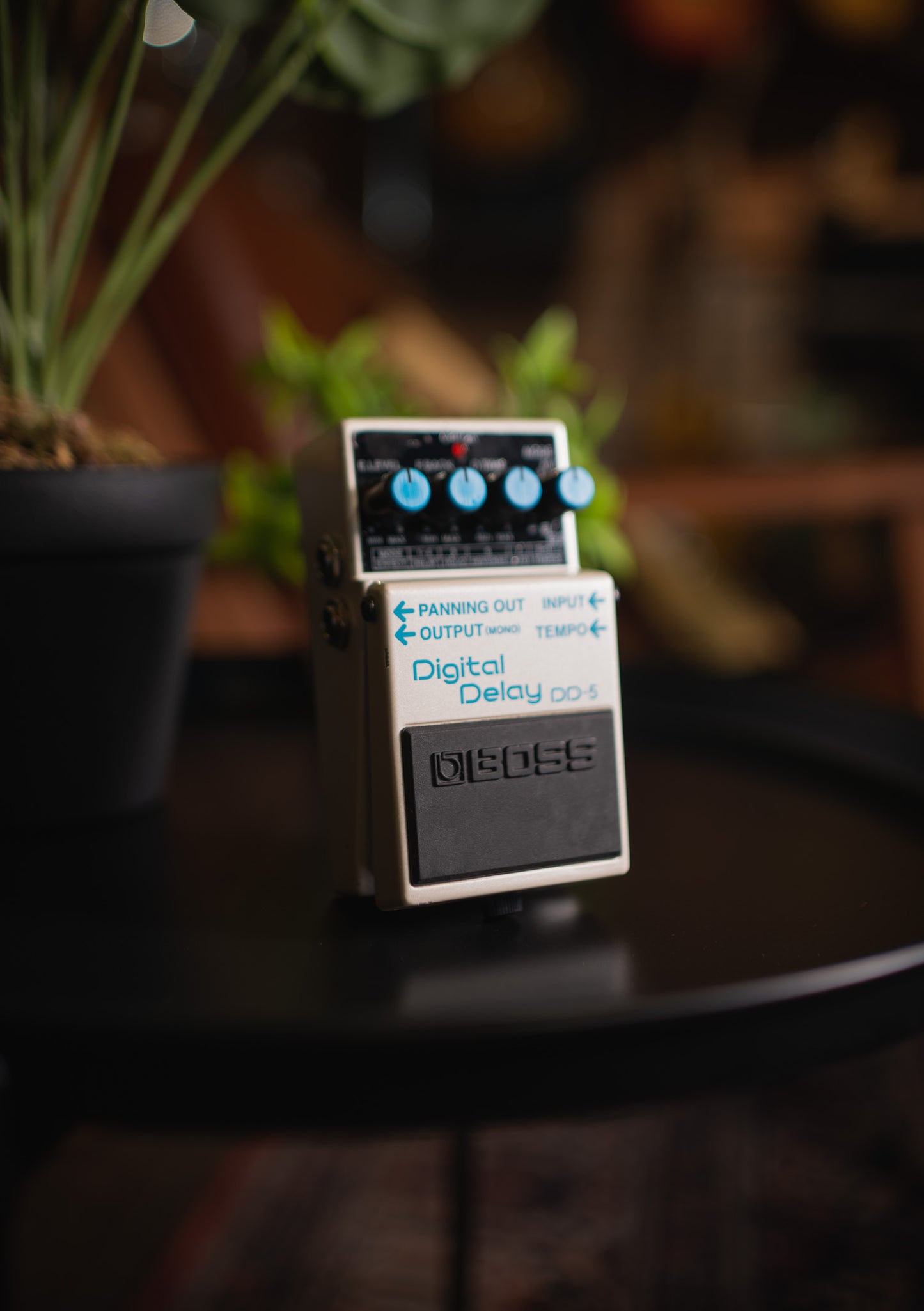 Pedal Boss Digital Delay DD-5 (usado)