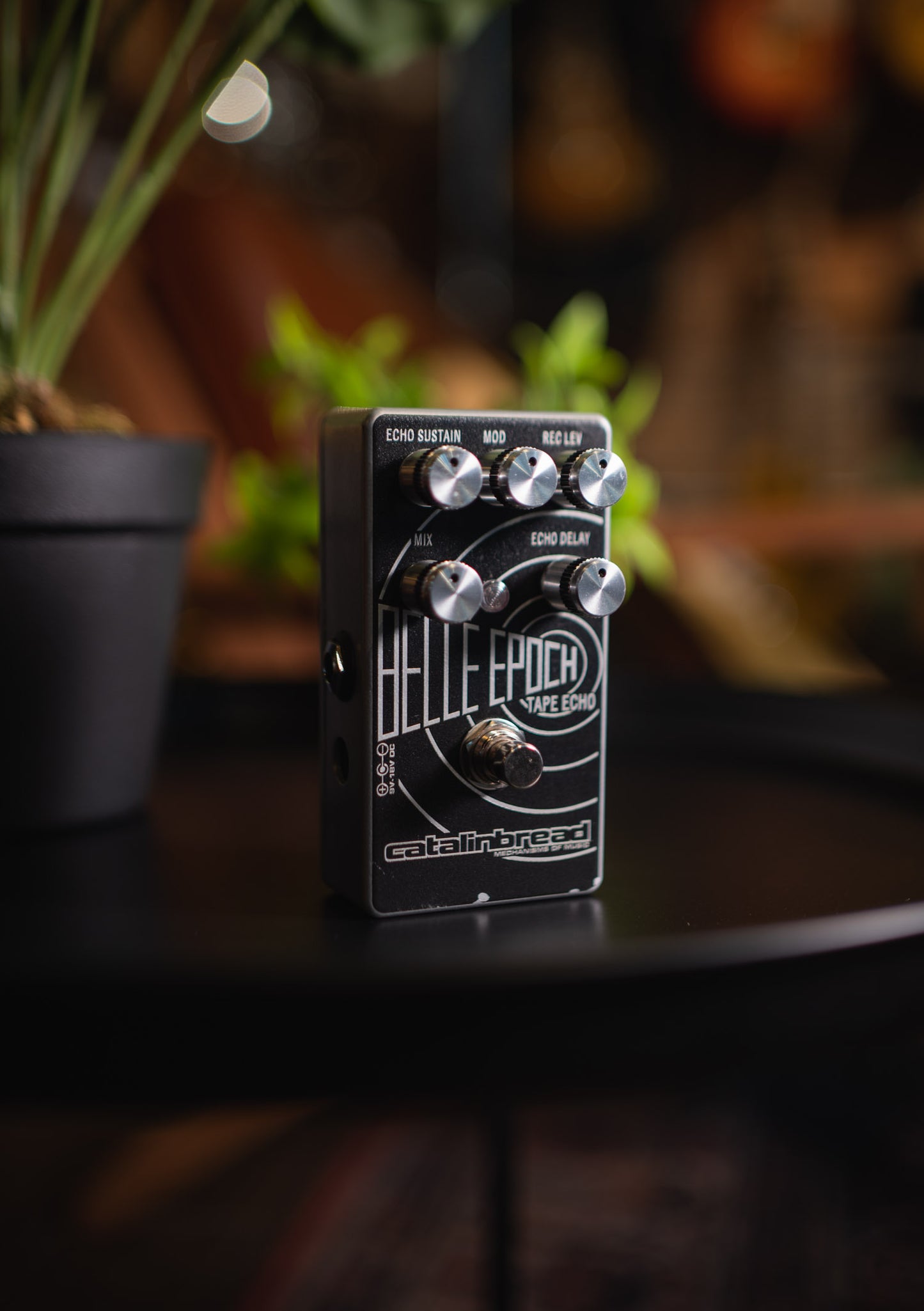 Pedal Catalinbread Belle Epoch Tape Echo (usado)