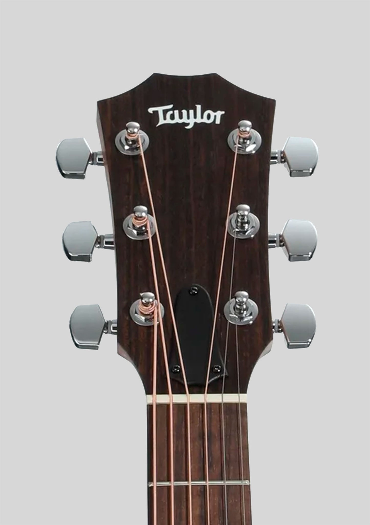 Taylor 24CE Grand Auditorium - Guitarra electroacústica