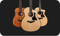 Guitarras Acústicas