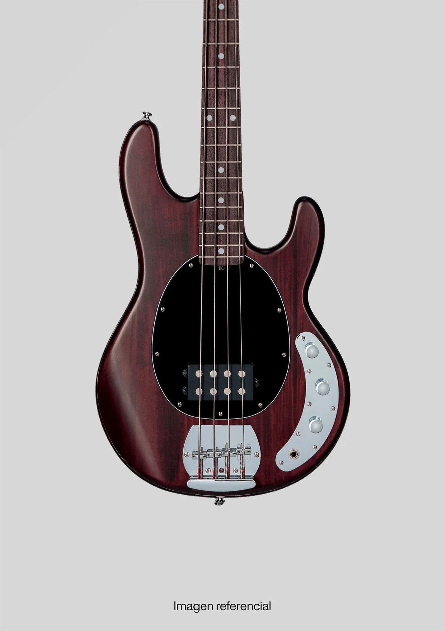 Sterling Stringray Sub Series RAY4 Walnut Satin usado (incluye hardcase) - Bajo eléctrico