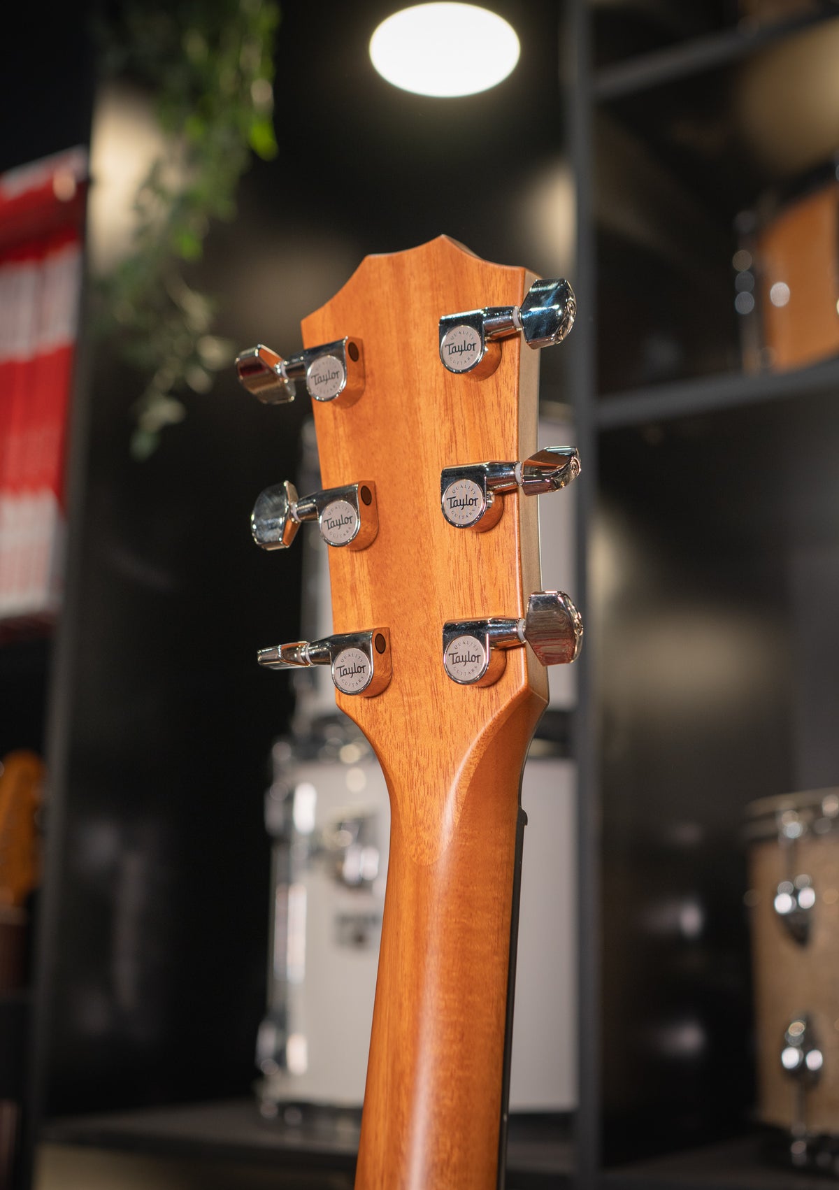 Taylor 414CE-R usada año 2022 natural - Guitarra electroacústica