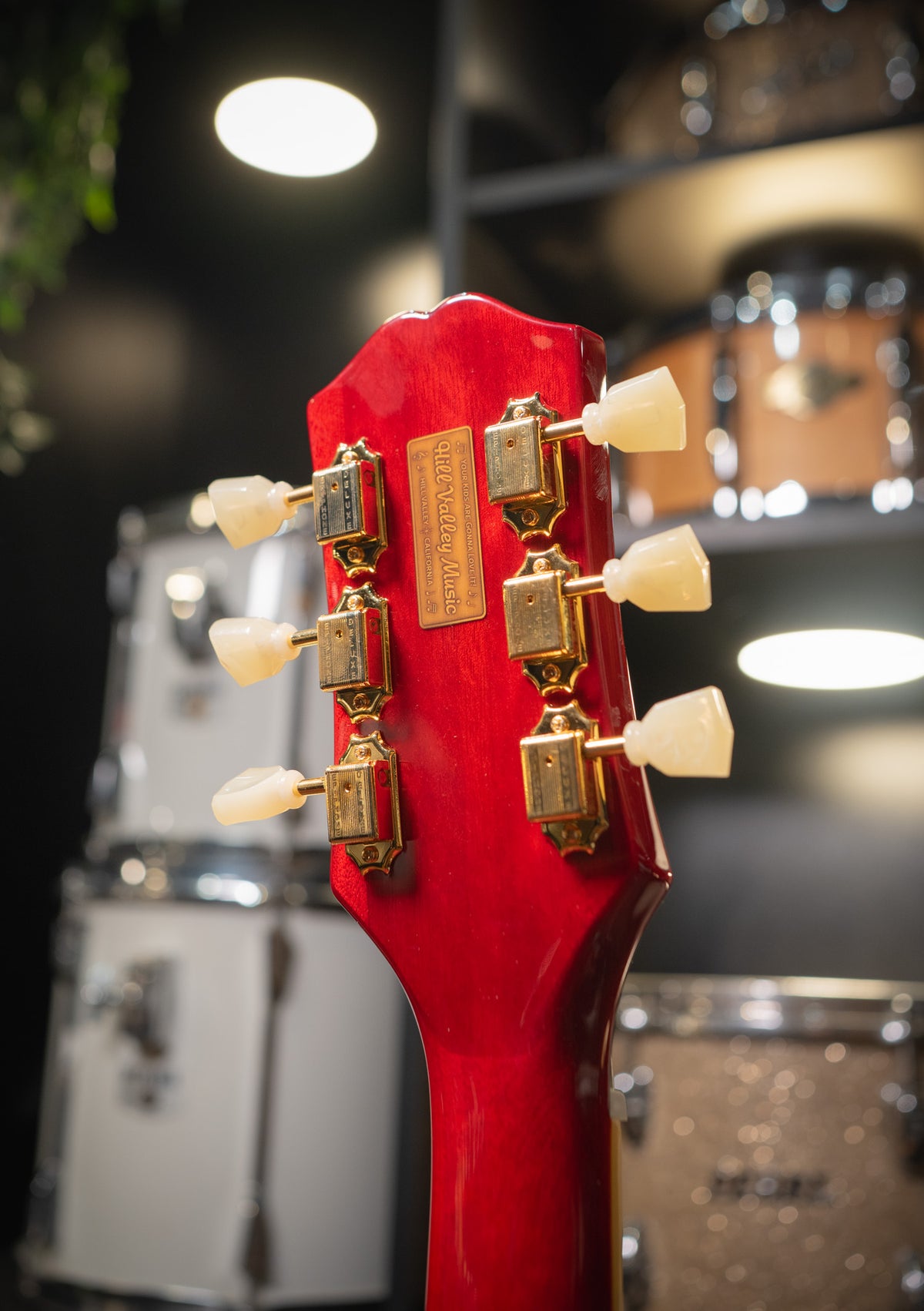 Epiphone Back To The Future ES-345 Limited Edition - Guitarra eléctrica