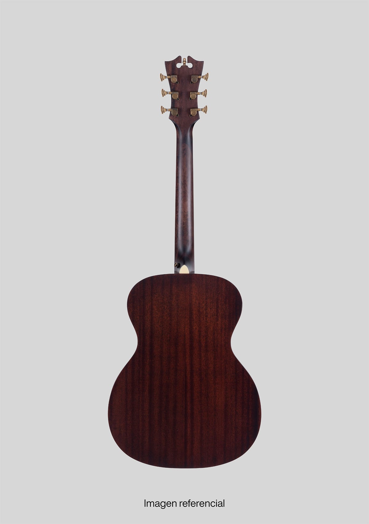 D'Angelico Premier Tammany Natural - Guitarra electroacústica