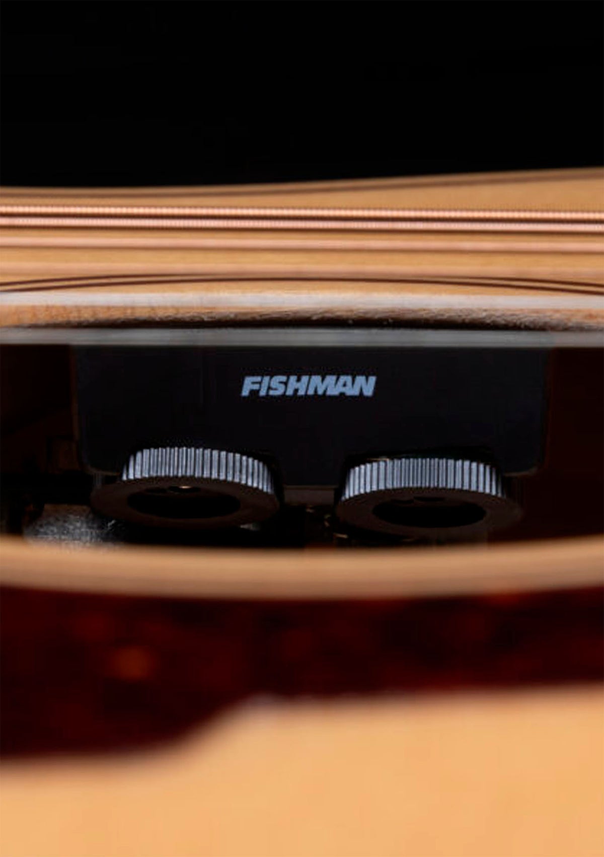 D'Angelico Premier Tammany Natural - Guitarra electroacústica