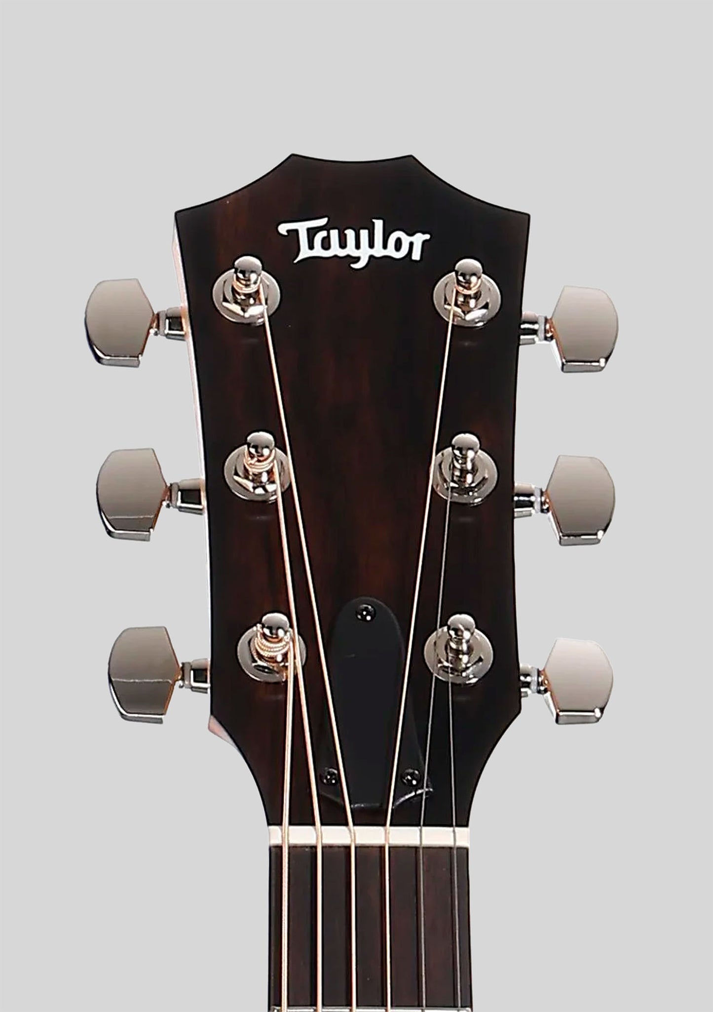 Taylor 214CE Plus - Guitarra electroacústica