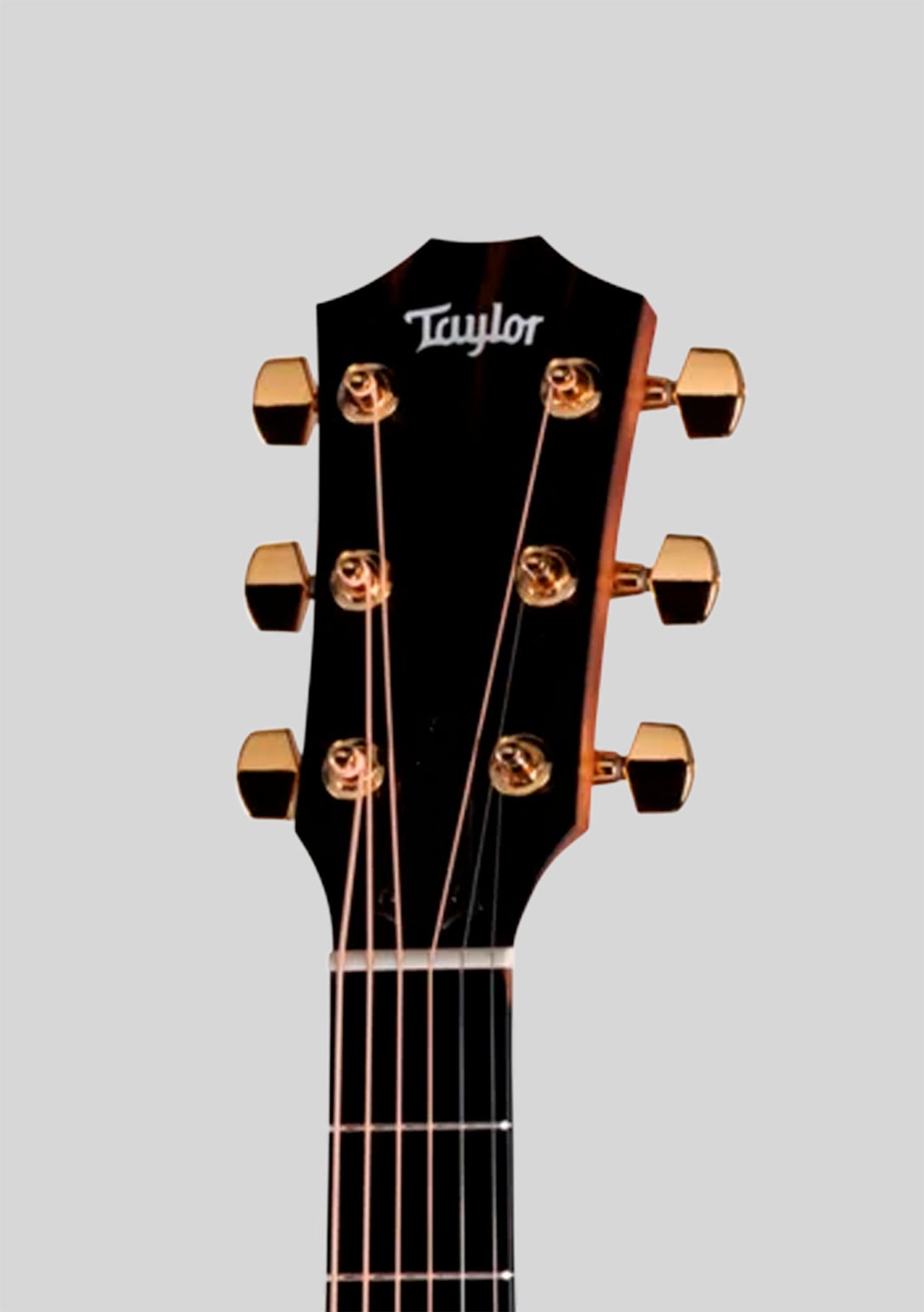 Taylor Sunset Blvd 114ce SEB - Guitarra electroacústica