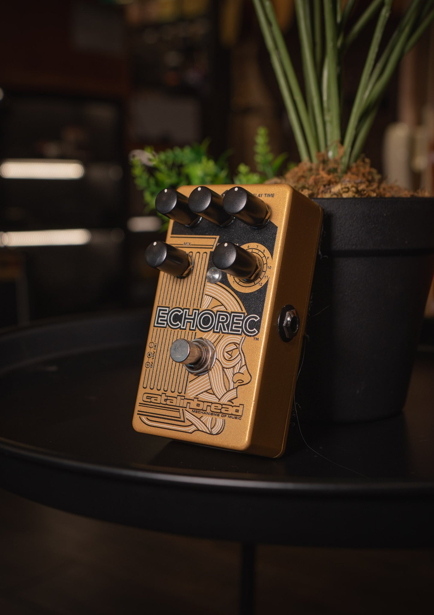 Pedal Catalinbread Echorec usado