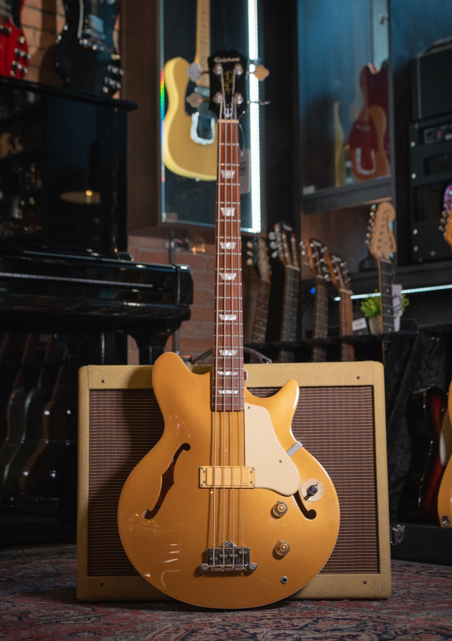 Epiphone Jack Casady Gold usado año 2013 - Bajo eléctrico
