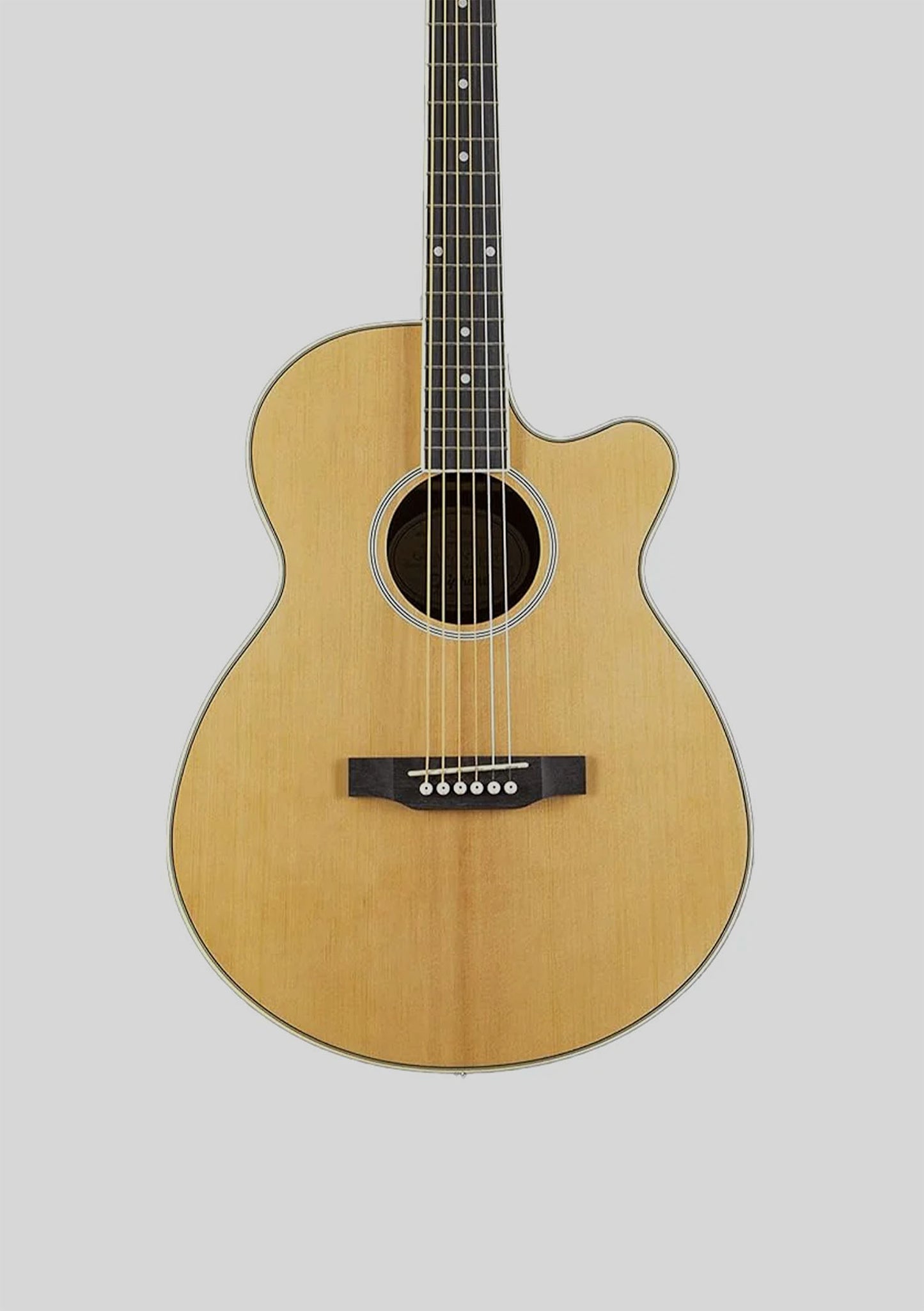 Epiphone PR-4E Pack (guitarra + amplificador + funda + accesorios) - Guitarra electroacústica