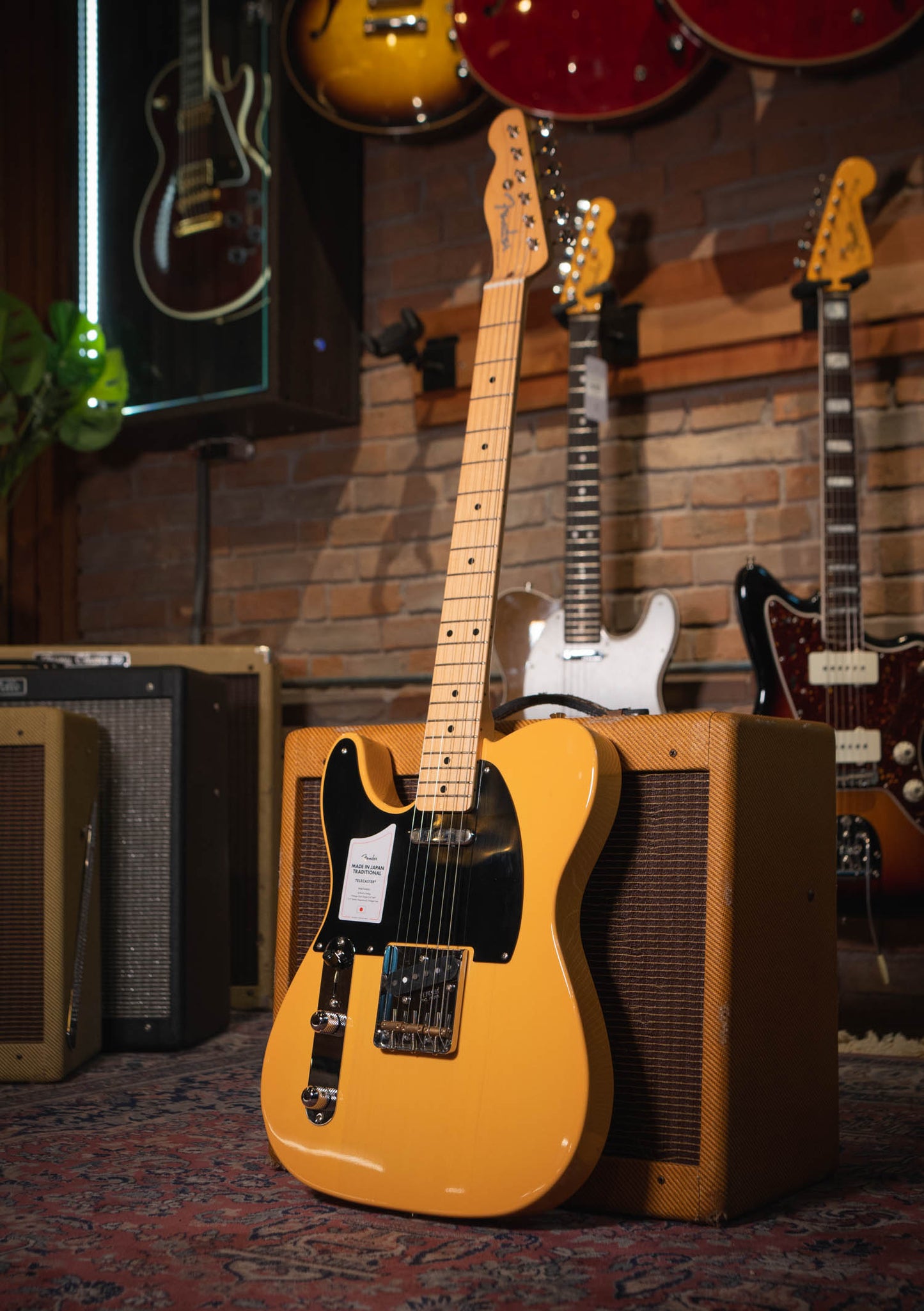 Fender Traditional 50s Telecaster® zurdo Butterscotch Blonde open box año 2024 (incluye hardcase) - Guitarra eléctrica