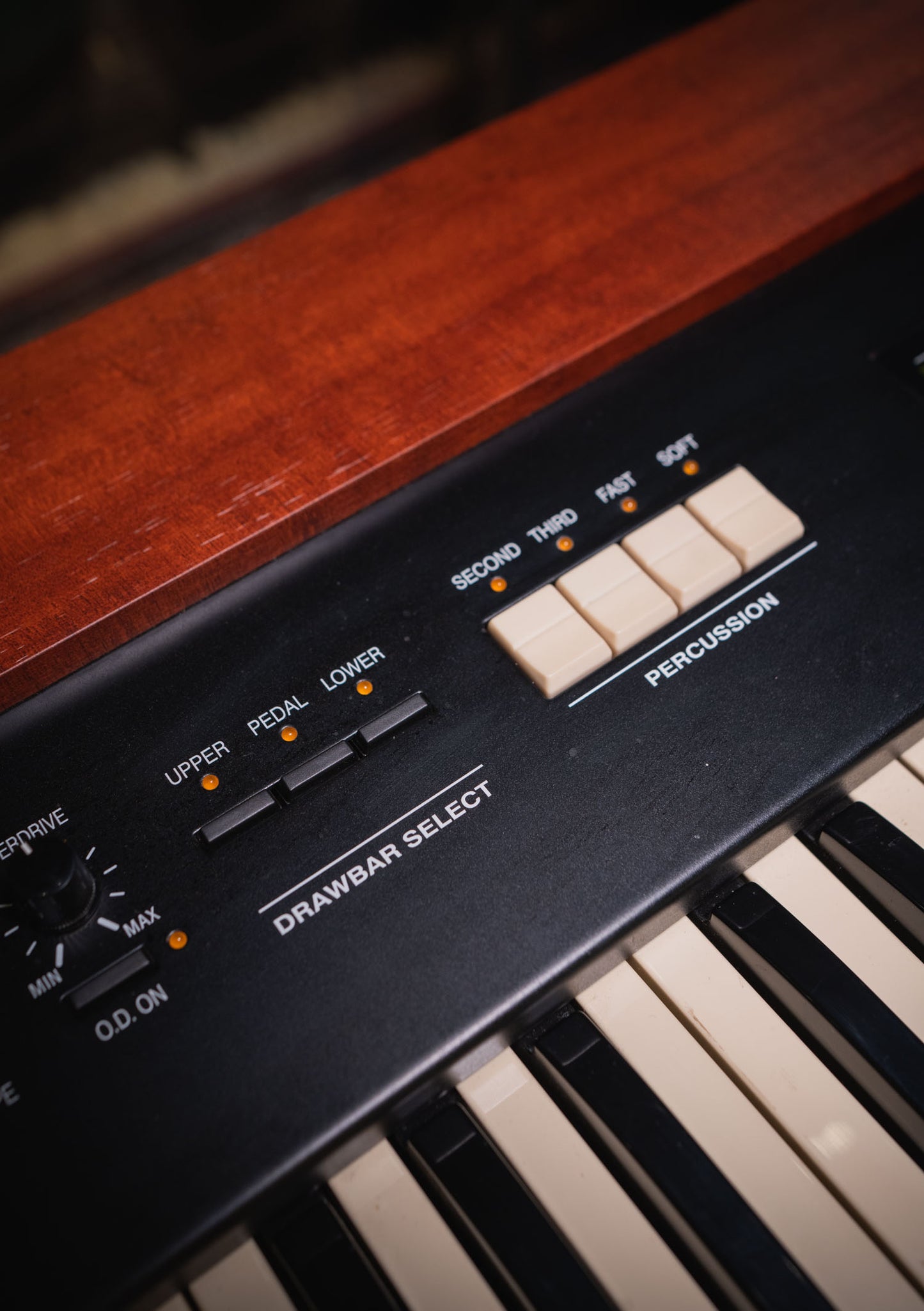Hammond XK-1 Black usado (incluye funda) - Teclado eléctrico