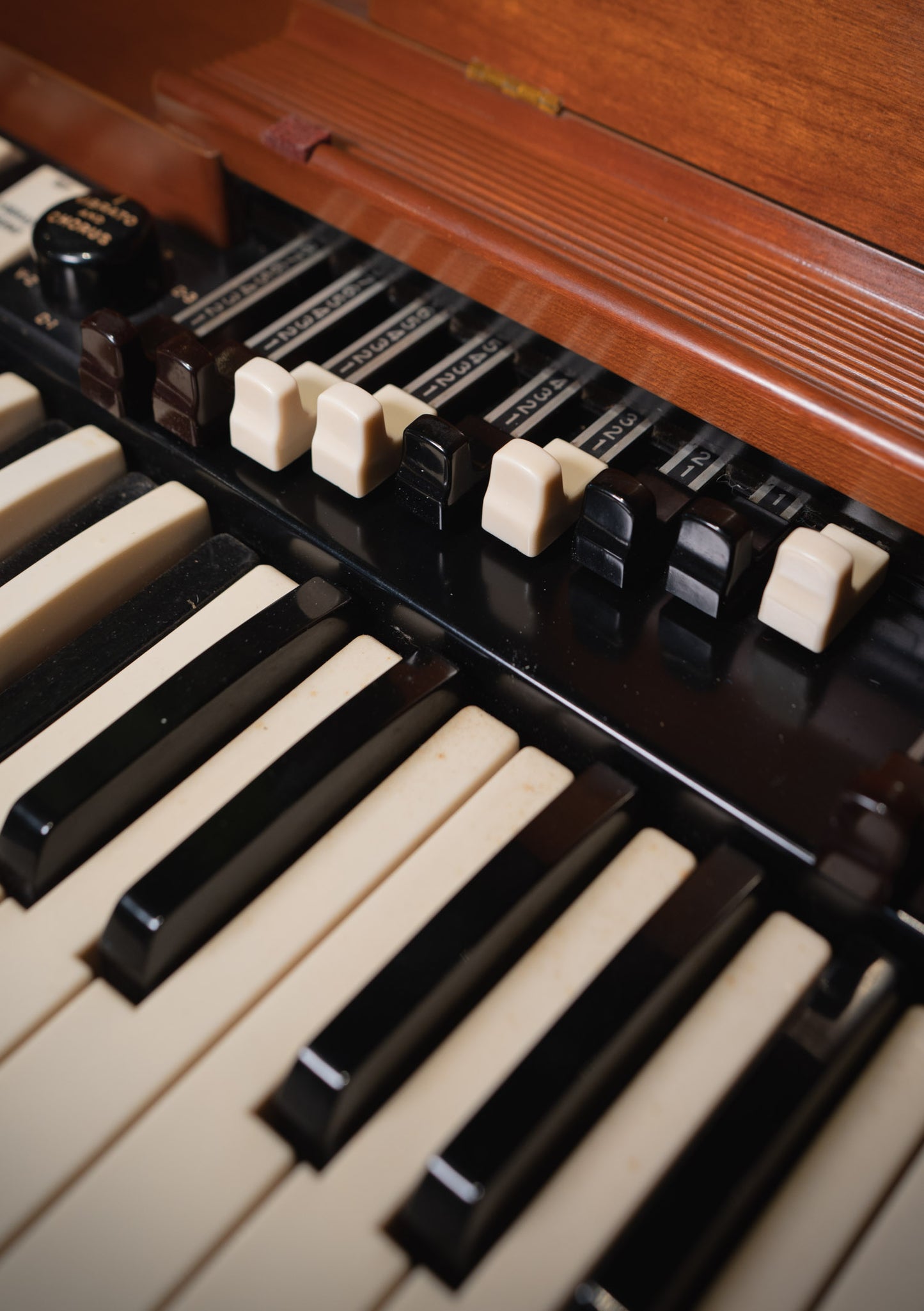 Hammond B3 año 1960 incluye Leslie 122 y Tone Cabinet PR20  usado - Organo