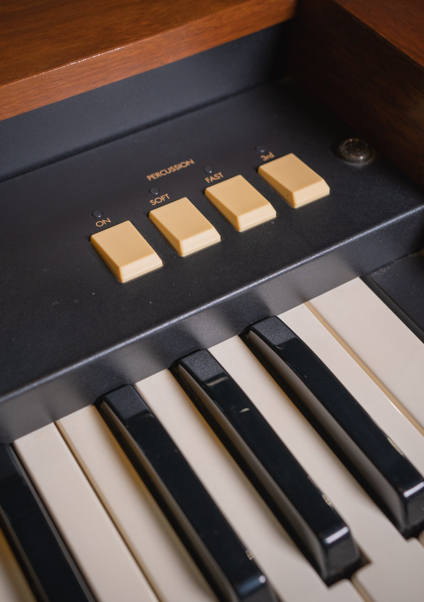 Korg CX-3 Natural usado - Sintetizador