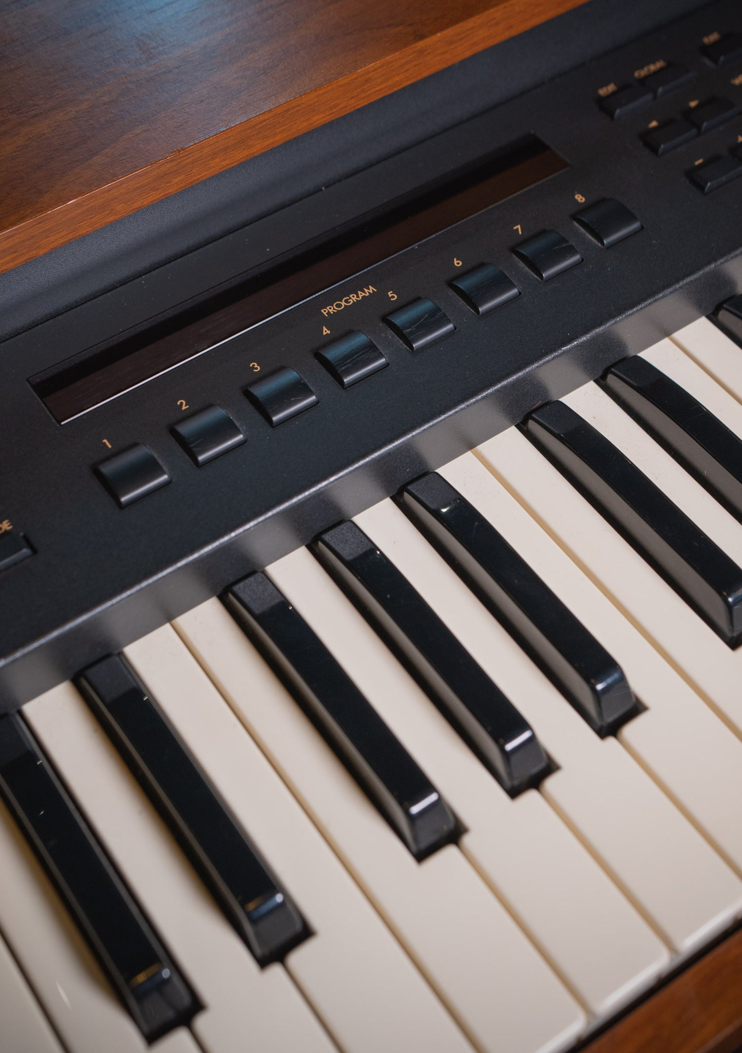 Korg CX-3 Natural usado - Sintetizador