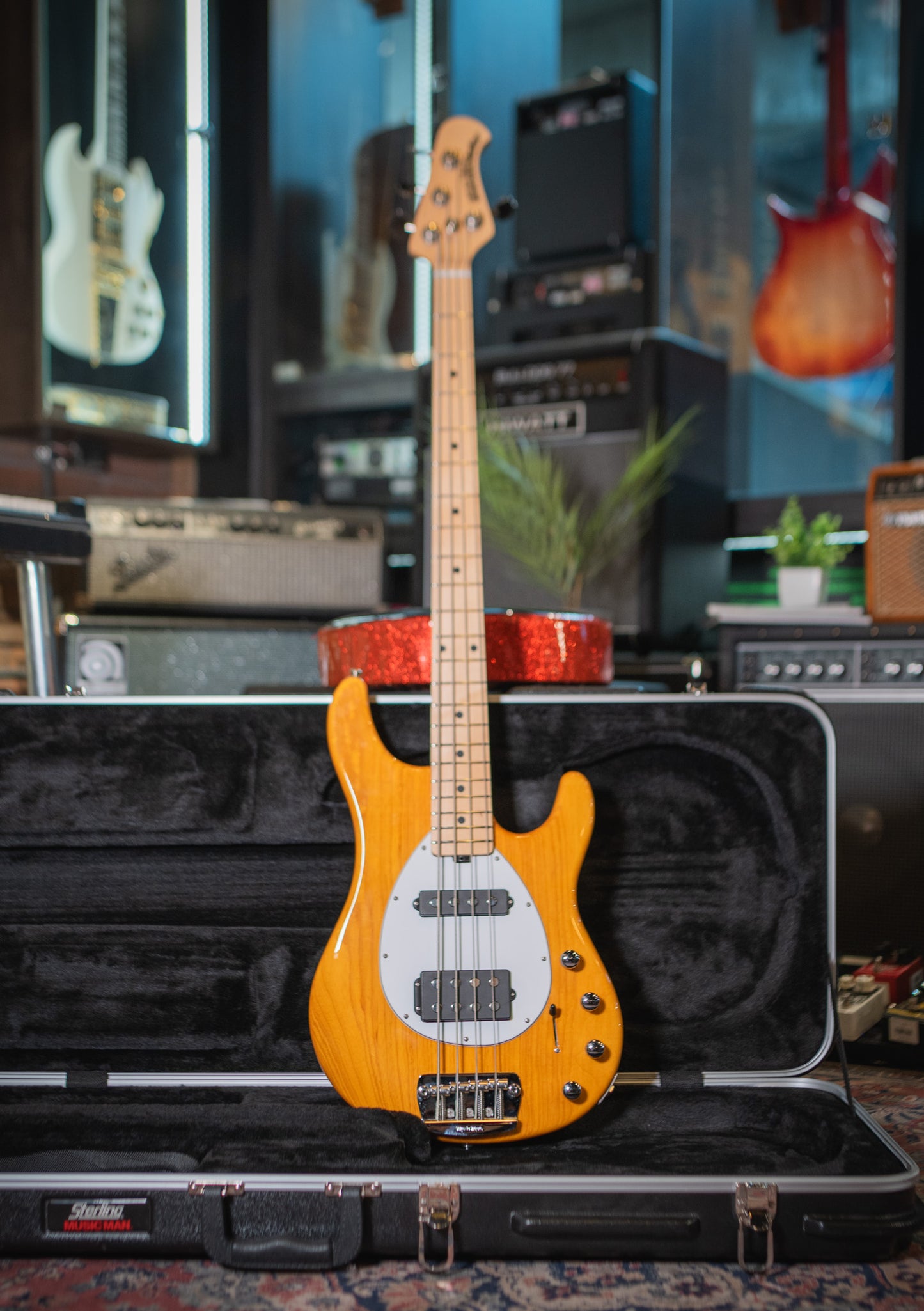 Musicman Sterling HS Bass usado año 2014 (incluye hardcase) - Bajo eléctrico
