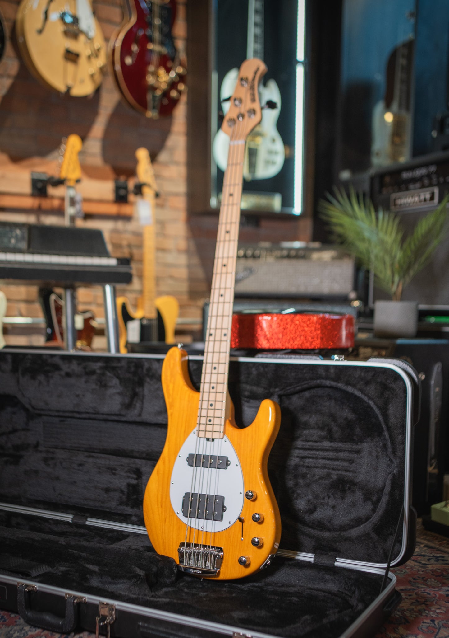 Musicman Sterling HS Bass usado año 2014 (incluye hardcase) - Bajo eléctrico