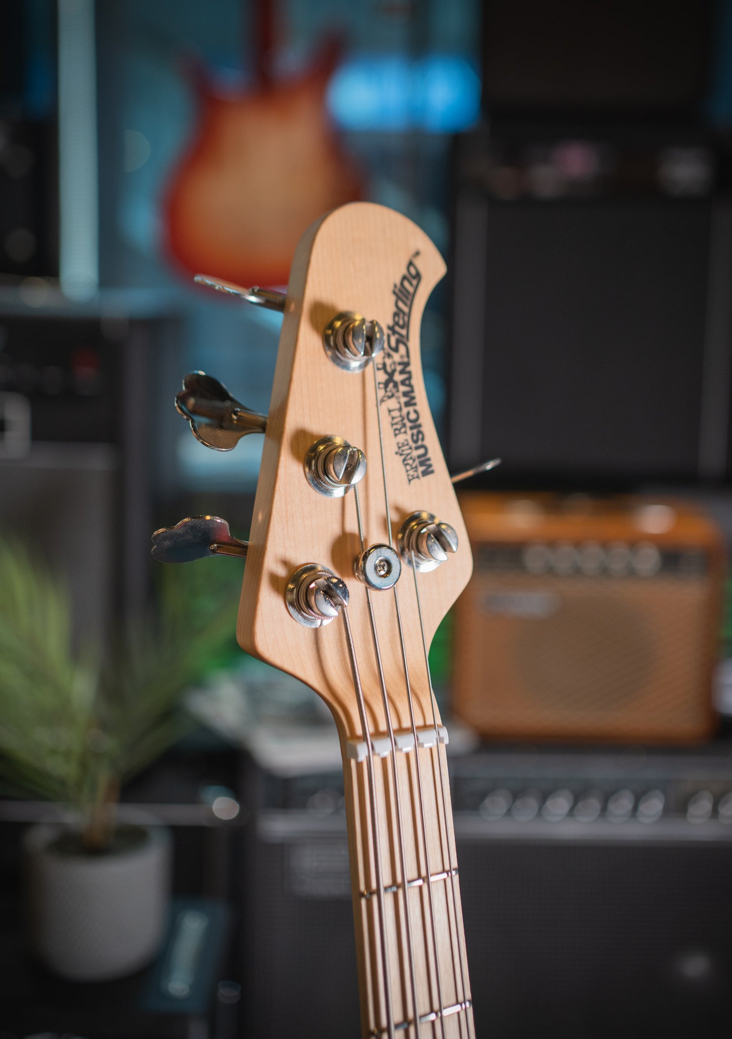 Musicman Sterling HS Bass usado año 2014 (incluye hardcase) - Bajo eléctrico