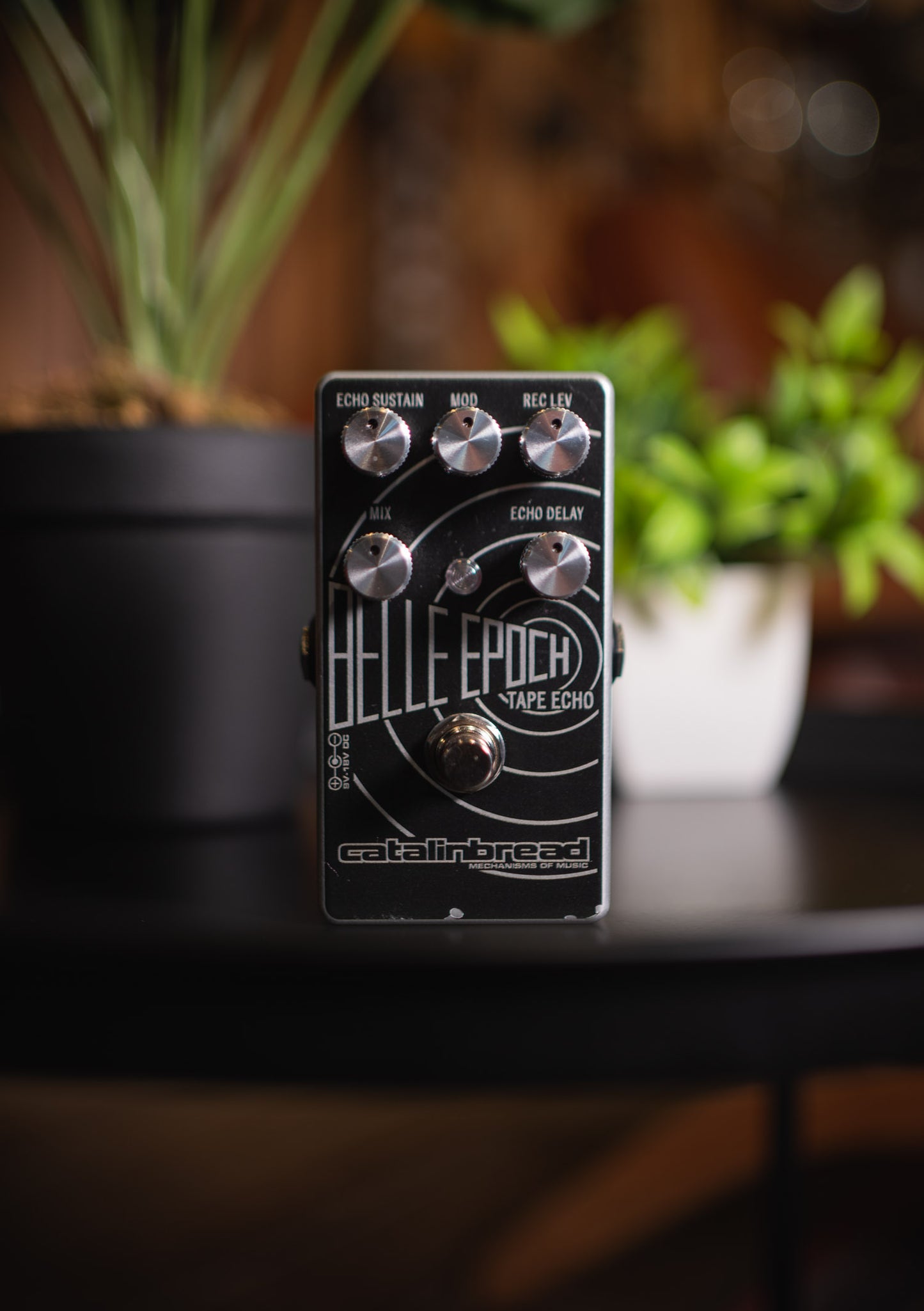 Pedal Catalinbread Belle Epoch Tape Echo (usado)