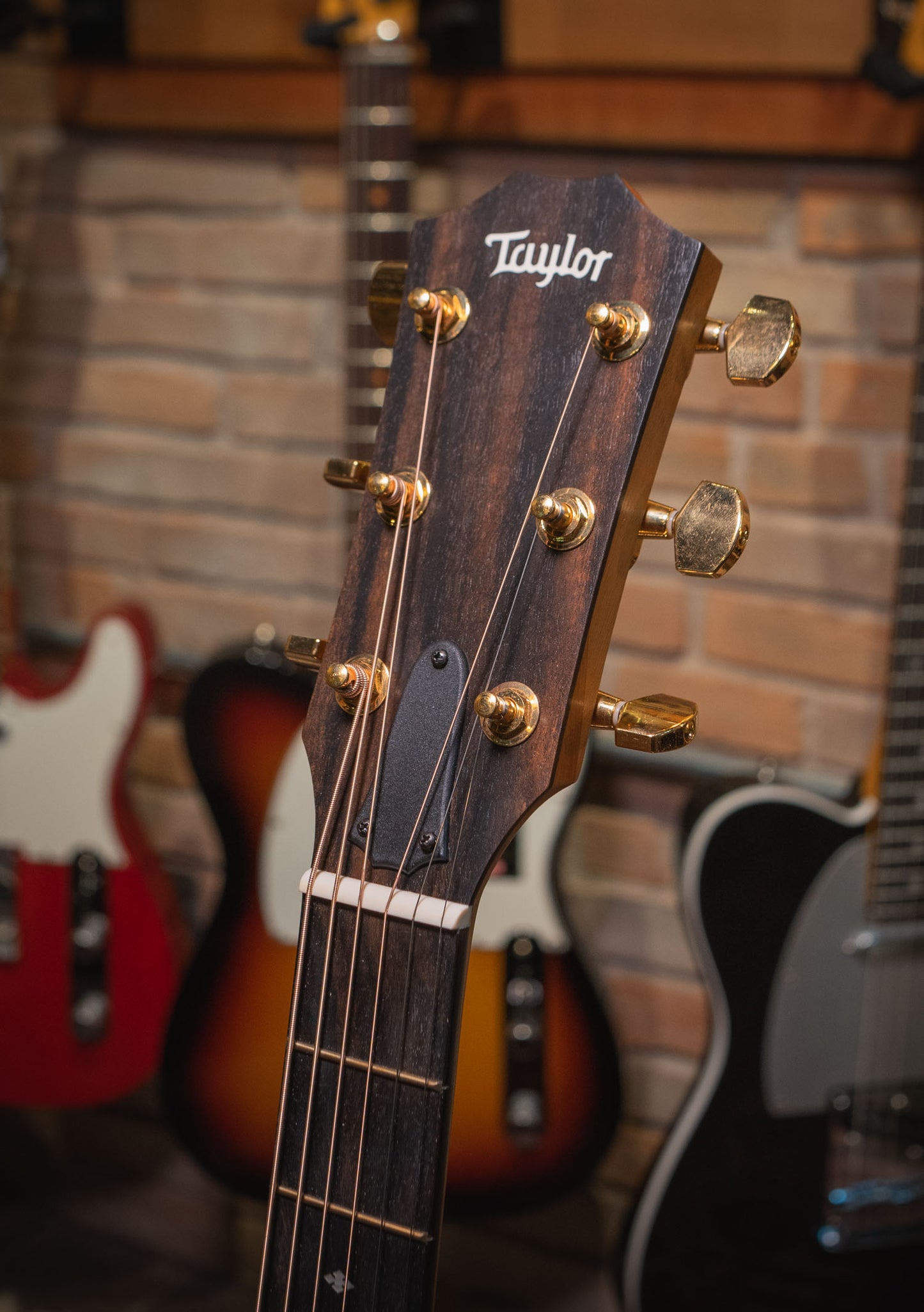 Taylor 214CE-K DLX Natural usada (incluye hardcase) - Guitarra electroacústica