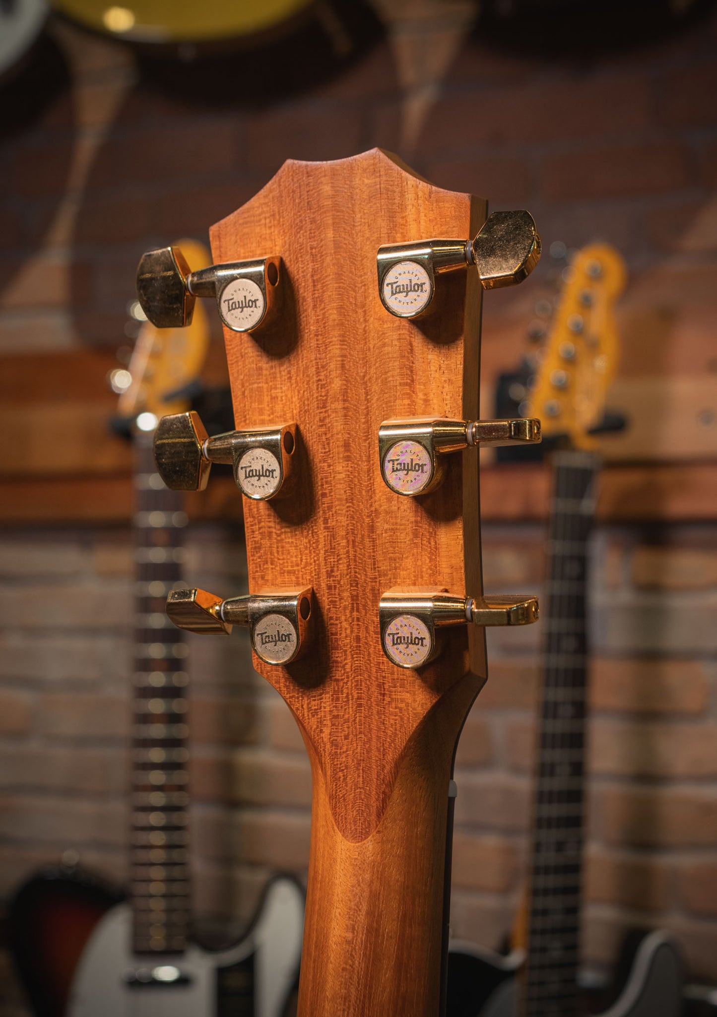 Taylor 214CE-K DLX Natural usada (incluye hardcase) - Guitarra electroacústica