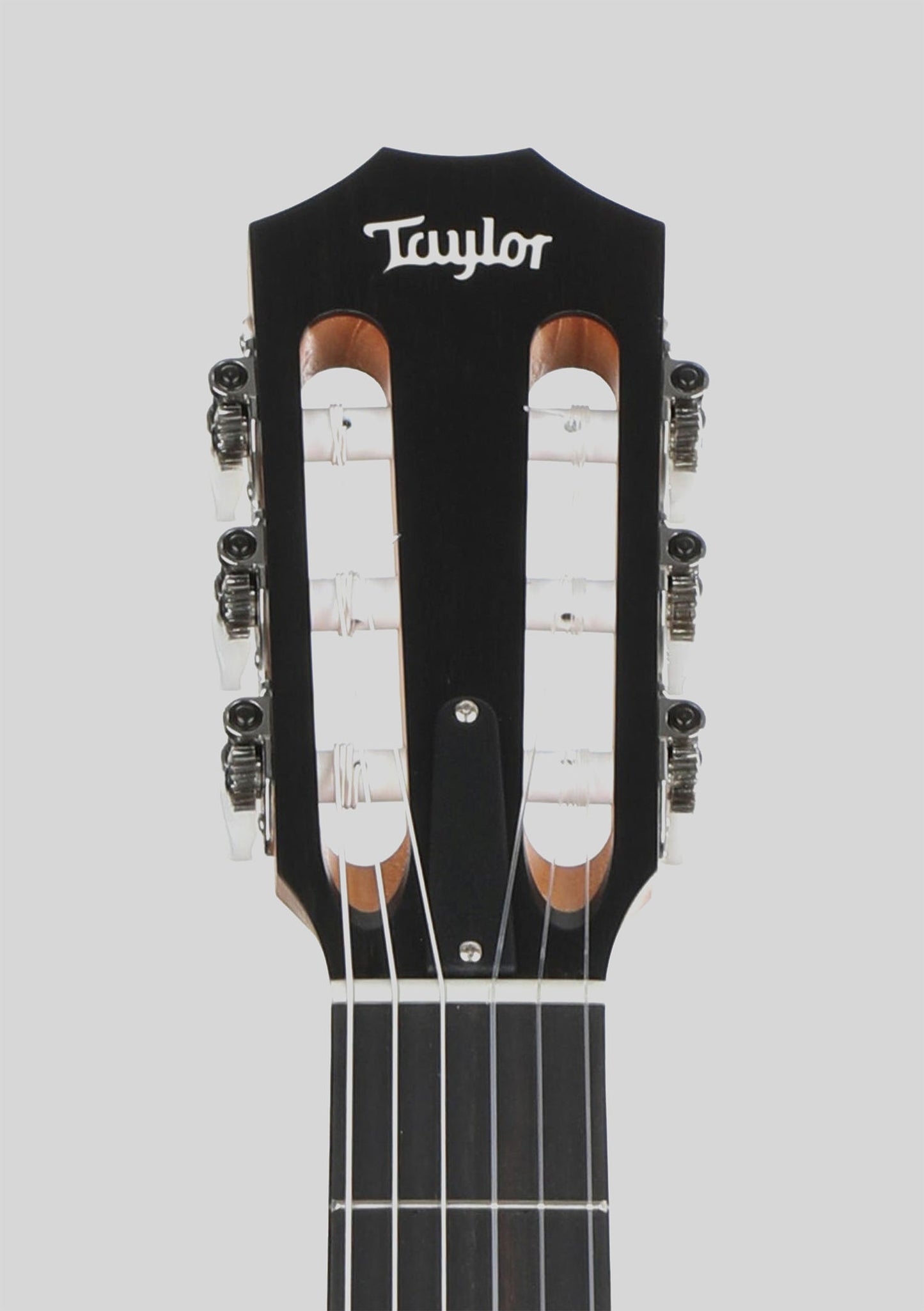 Taylor 214CE-N Rosewood Spruce (cuerdas nylon) - Guitarra electroacústica