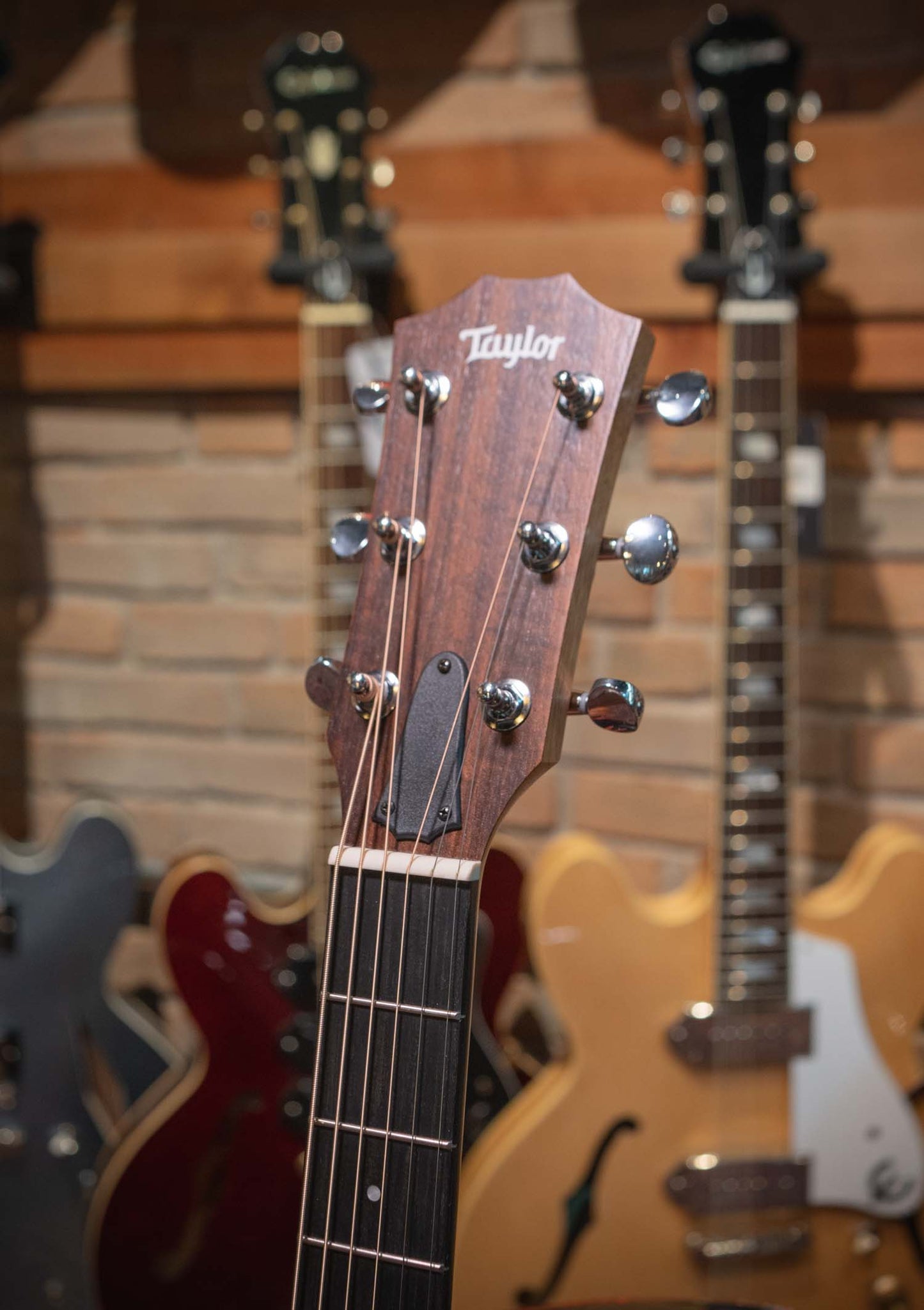 Taylor 14CE Grand Auditorium - Guitarra electroacústica