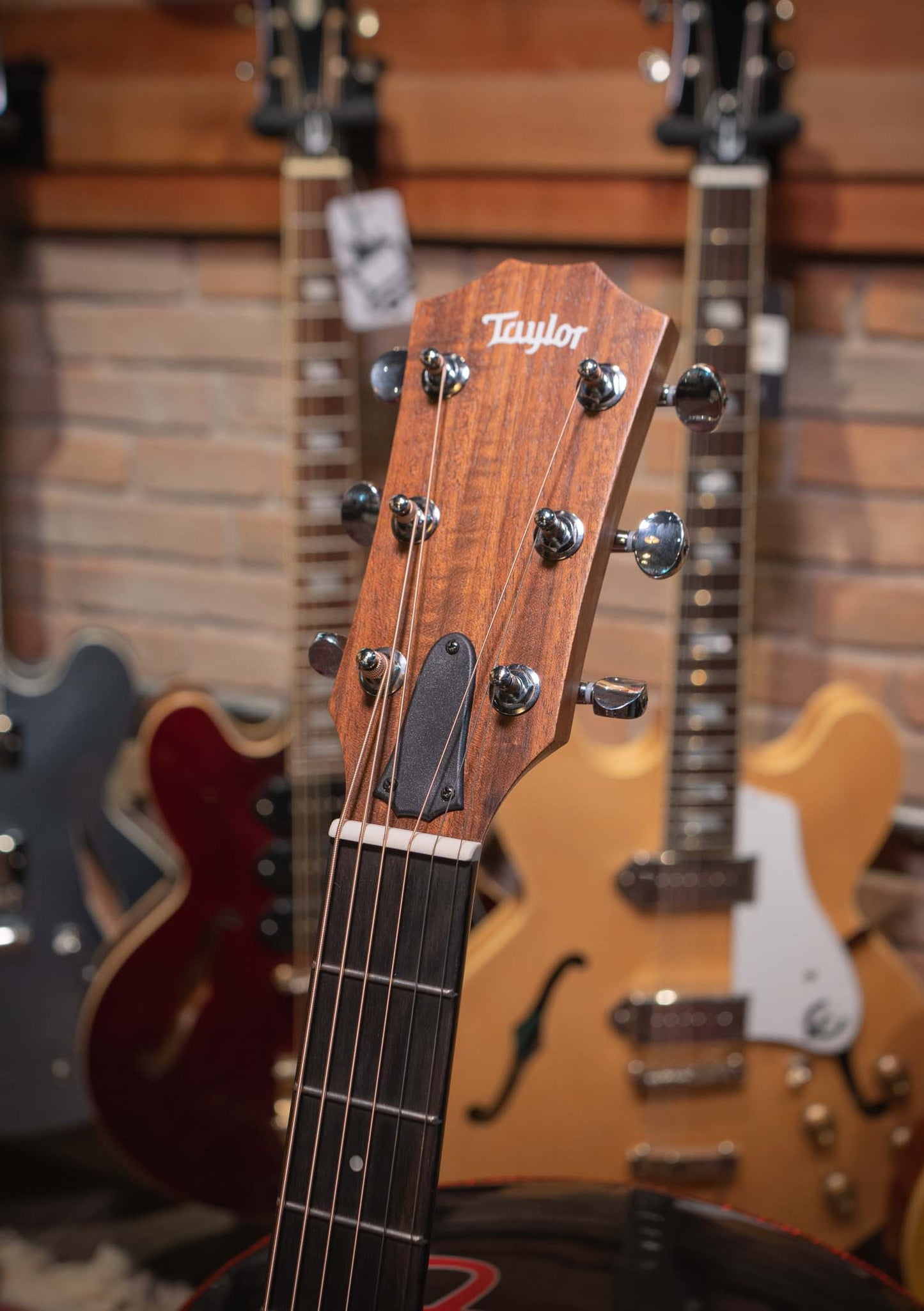 Taylor 24CE Grand Auditorium - Guitarra electroacústica