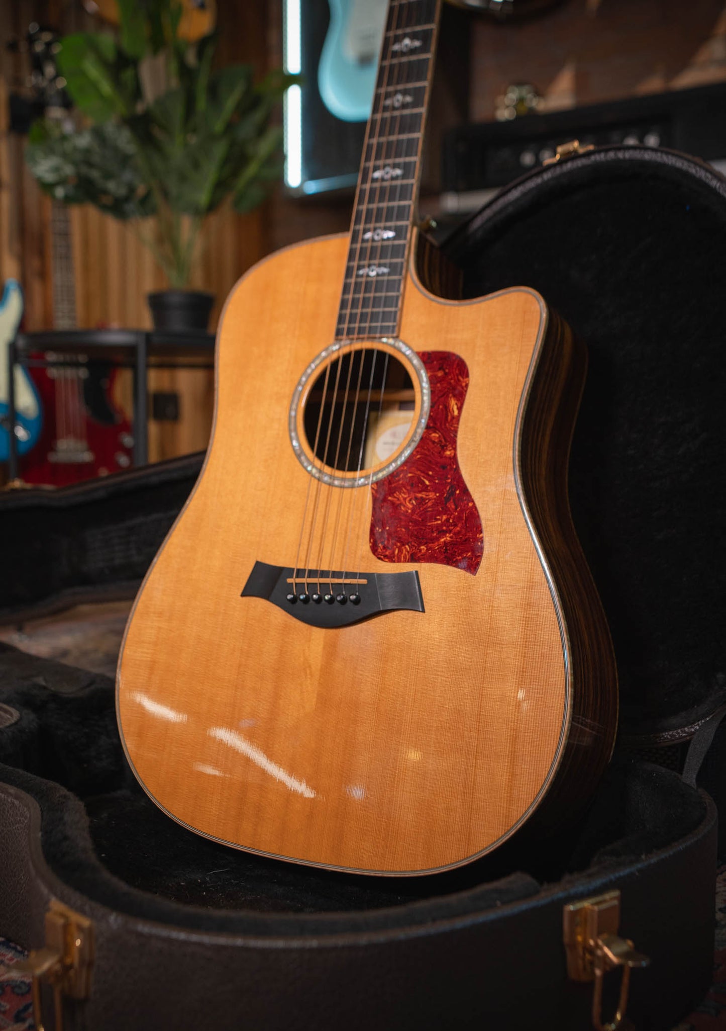 Taylor 810CE L10 Fall Limited Edition usada año 2005 Made in USA - Guitarra acústica